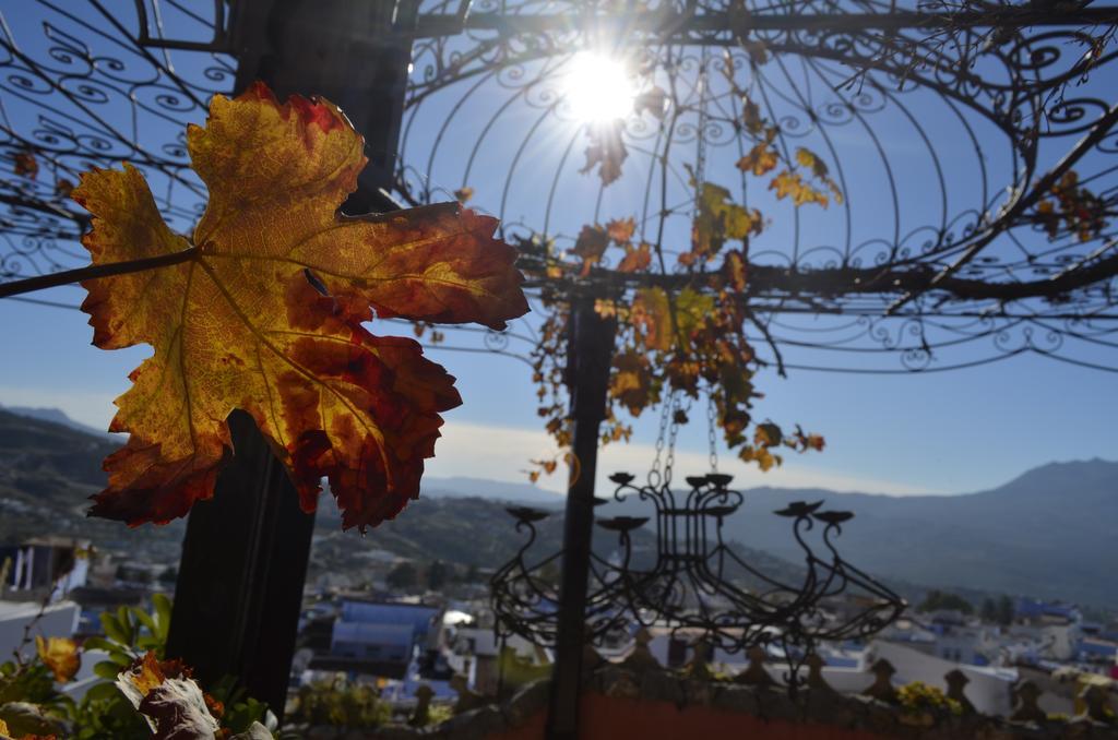 Bed and Breakfast Dar Meziana Šafšawán Exteriér fotografie